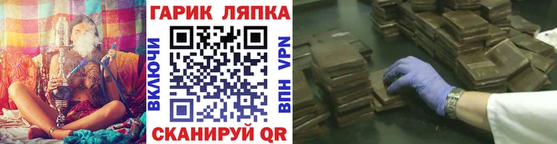 MEGA ссылка  Светлогорск  Гашиш индика сатива  купить закладку 