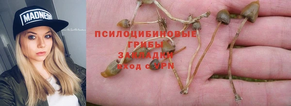 jwh Беломорск