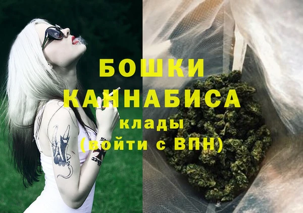 молекула духа Белоозёрский