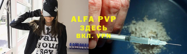 гидра Белокуриха