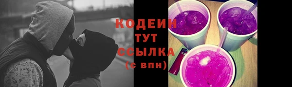 молекула духа Белоозёрский