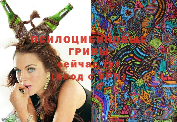 молекула духа Белоозёрский