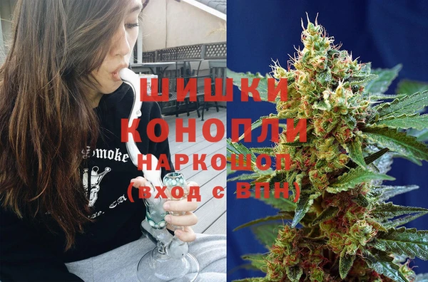 гидра Белокуриха