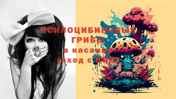 молекула духа Белоозёрский