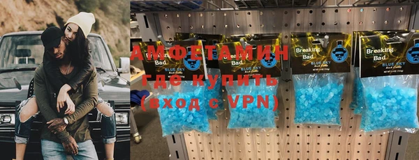гидра Белокуриха