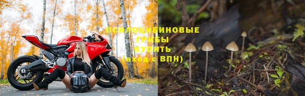 jwh Беломорск