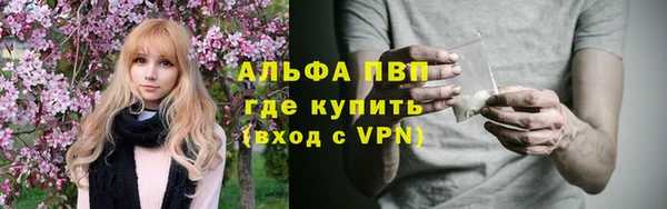 гидра Белокуриха