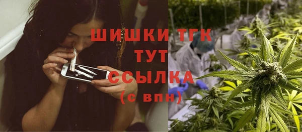 молекула духа Белоозёрский