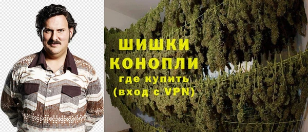 гидра Белокуриха